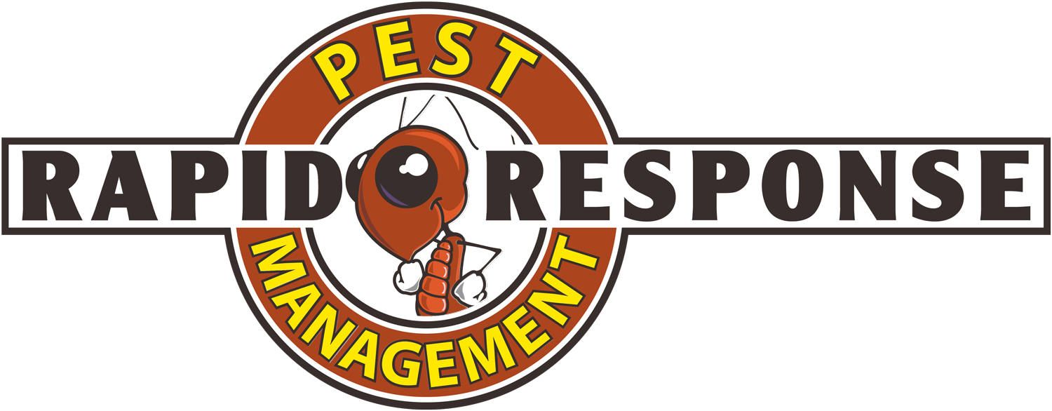 Logo of Rapid Response Pest Management featuring a cartoon ant with a smiling face inside a circular emblem
